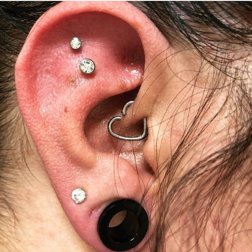 Explore koala tattoo ideas, creative tattoo ideas in Summerville, available at Exotic Impressions Body Piercing