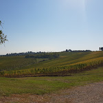 Photo n°2 de l'avis de fabio.a fait le 21/10/2018 à 15:57 sur le  Agriturismo Colleverde à Terricciola