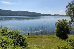 Laacher See Nature Reserve image