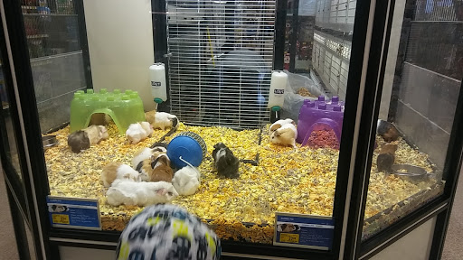 Pet Supply Store «PetSmart», reviews and photos, 5200 W Main St, Kalamazoo, MI 49009, USA