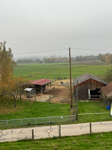 Pferdeteam Mesnerhof Im Tal 3, 85283 Wolnzach, Deutschland