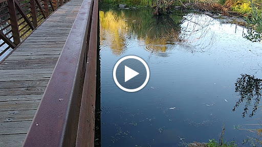 Nature Preserve «Beaverton Creek Wetlands Natural Area», reviews and photos, SW 153rd Dr, Beaverton, OR 97006, USA