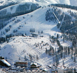 Photo n°47 de Chalet d’altitude du sapet Valberg à G ()