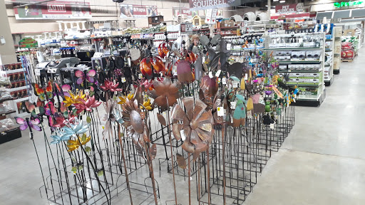 Sporting Goods Store «Big R of Homer Glen», reviews and photos, 15830 S Bell Rd, Homer Glen, IL 60491, USA