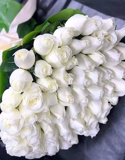 Grocery Store «Dutch-Way Farm Market - Gap», reviews and photos, 365 PA-41, Gap, PA 17527, USA