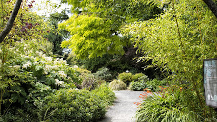Bellevue Botanical Garden in Seattle WA