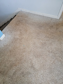 Sunbird Cleaning Services - Photo 3 - Car repair in , Charlotte