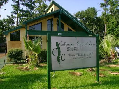 Calcasieu Spinal Care Inc A Professional Chiropractic Corporation - Chiropractor in Lake Charles Louisiana