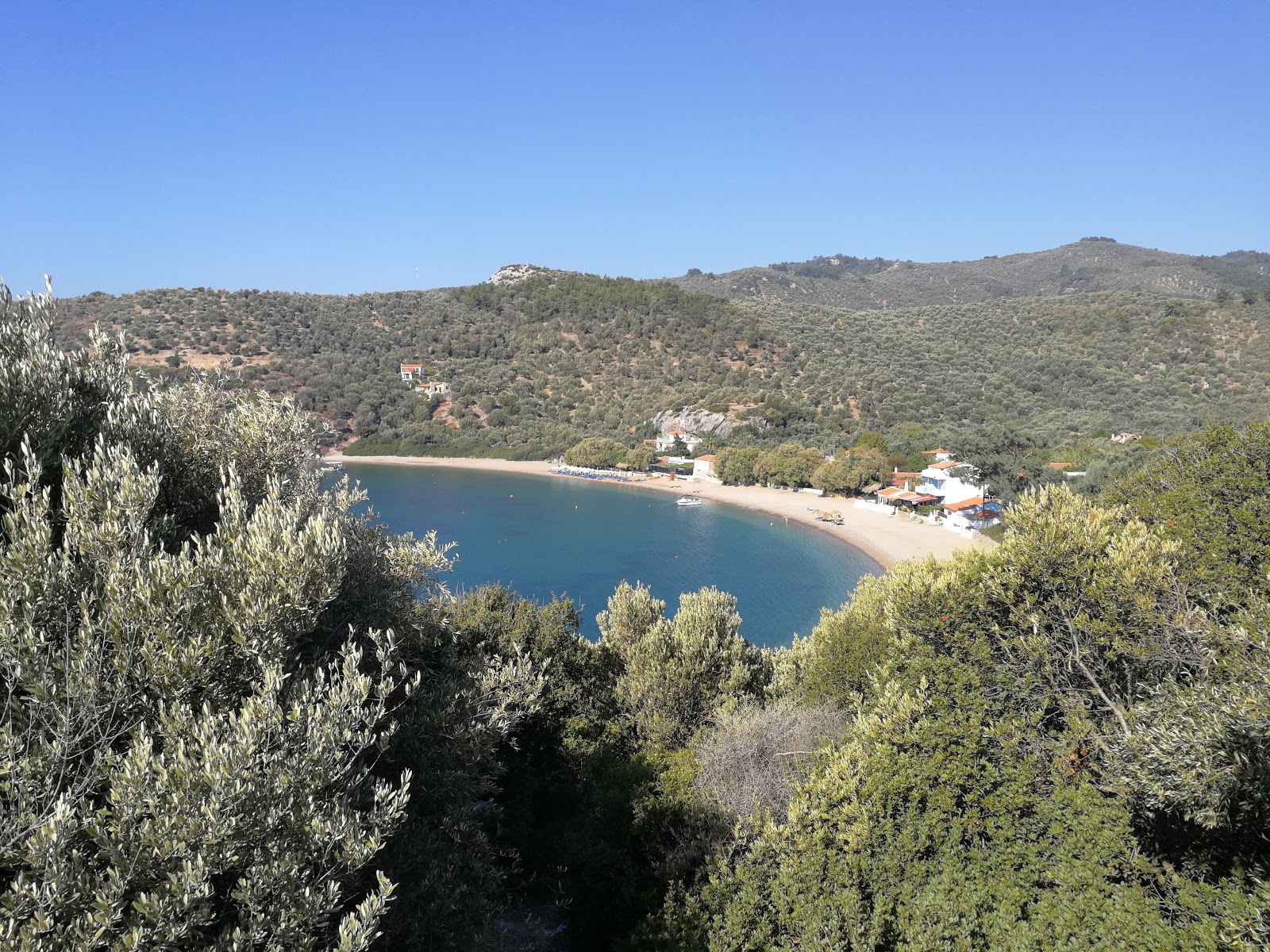 Foto de Tarti beach com baía espaçosa