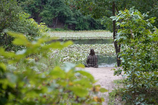 Park «Government Island», reviews and photos, 191 Coal Landing Road, Stafford, VA 22554, USA