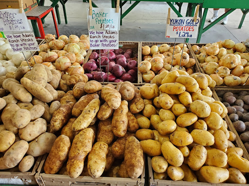Produce Market «Nelson Family Farms», reviews and photos, 875 W Midway Rd, Fort Pierce, FL 34982, USA