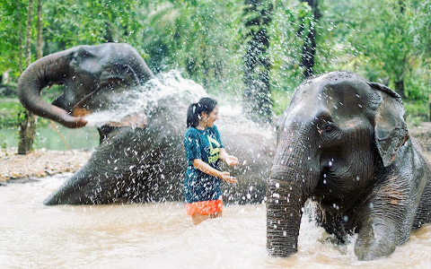 The Elephant Sanctuary Krabi Thailand image