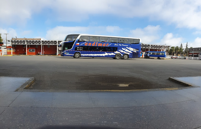 Terminal Curico - Servicio de taxis