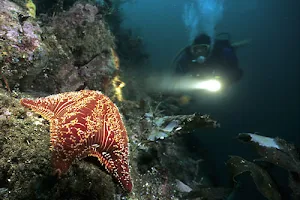 One Ocean Dive Resort image