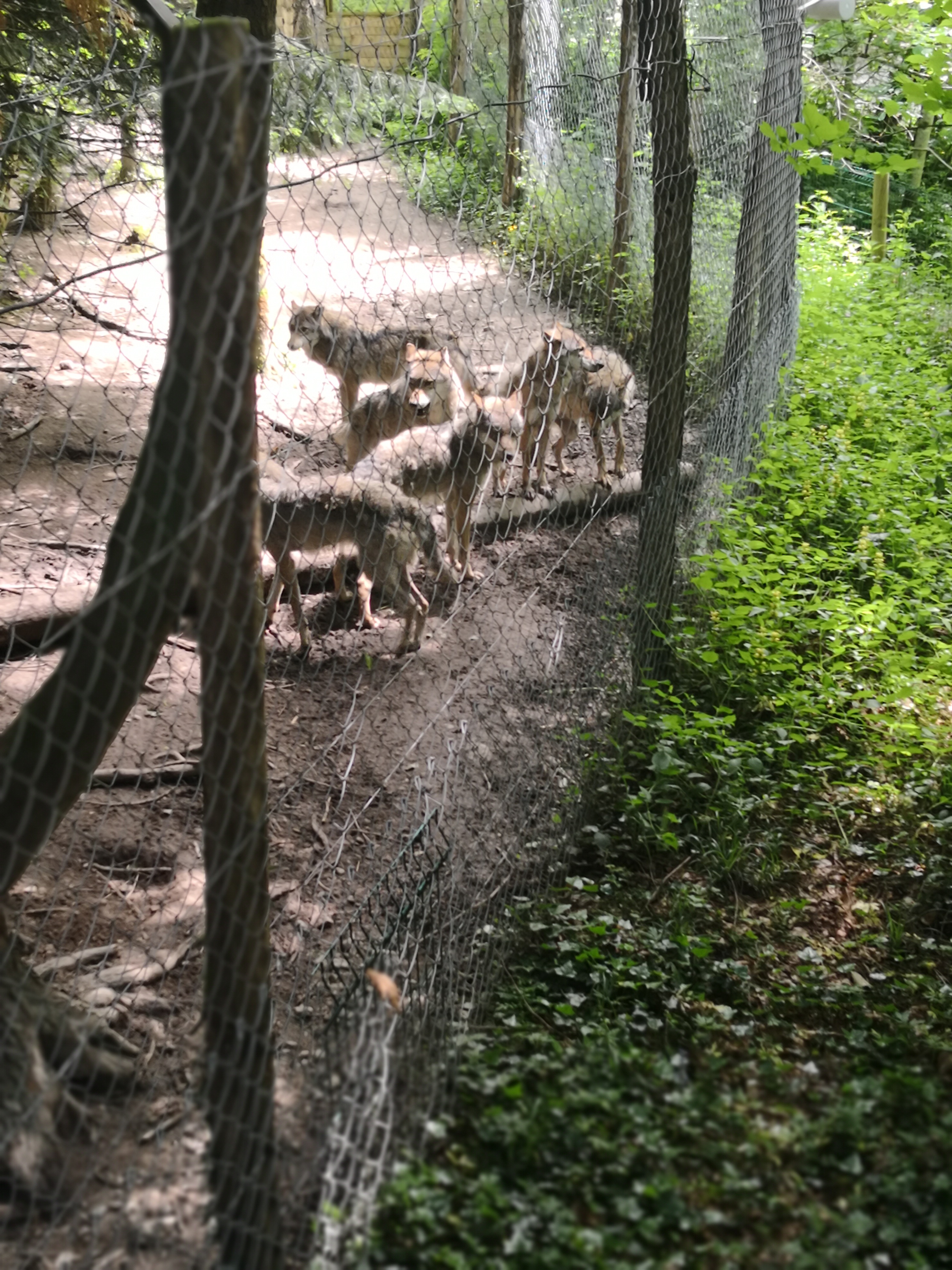 Photo n° 6 de l'avis de Denis.a fait le 08/06/2019 à 09:49
