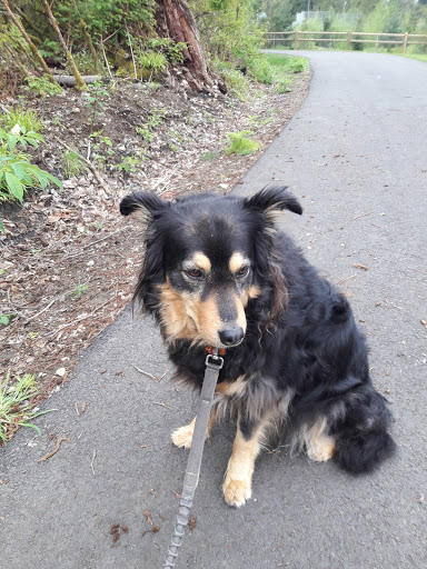 Park «Willis D. Tucker Community Park», reviews and photos, 6705 Puget Park Dr, Snohomish, WA 98296, USA