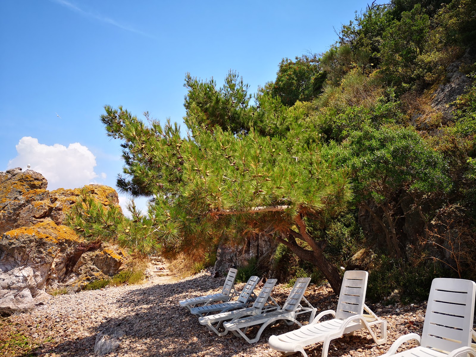 Foto von Burgazada Dusler Sahili, Beach and Camping Site - beliebter Ort unter Entspannungskennern