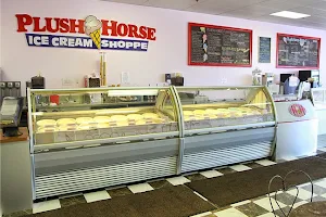 Plush Horse Ice Cream Shop - Tinley Park image