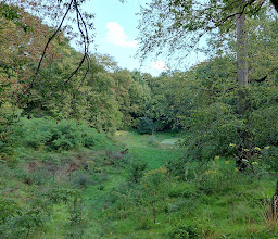 Francke Park photo
