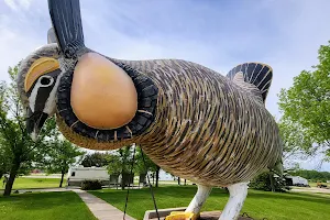Prairie Chicken Statue image