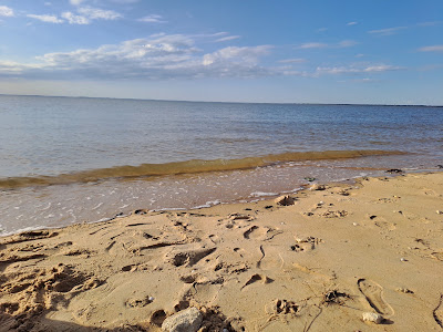 Plage du Teich à Le Teich