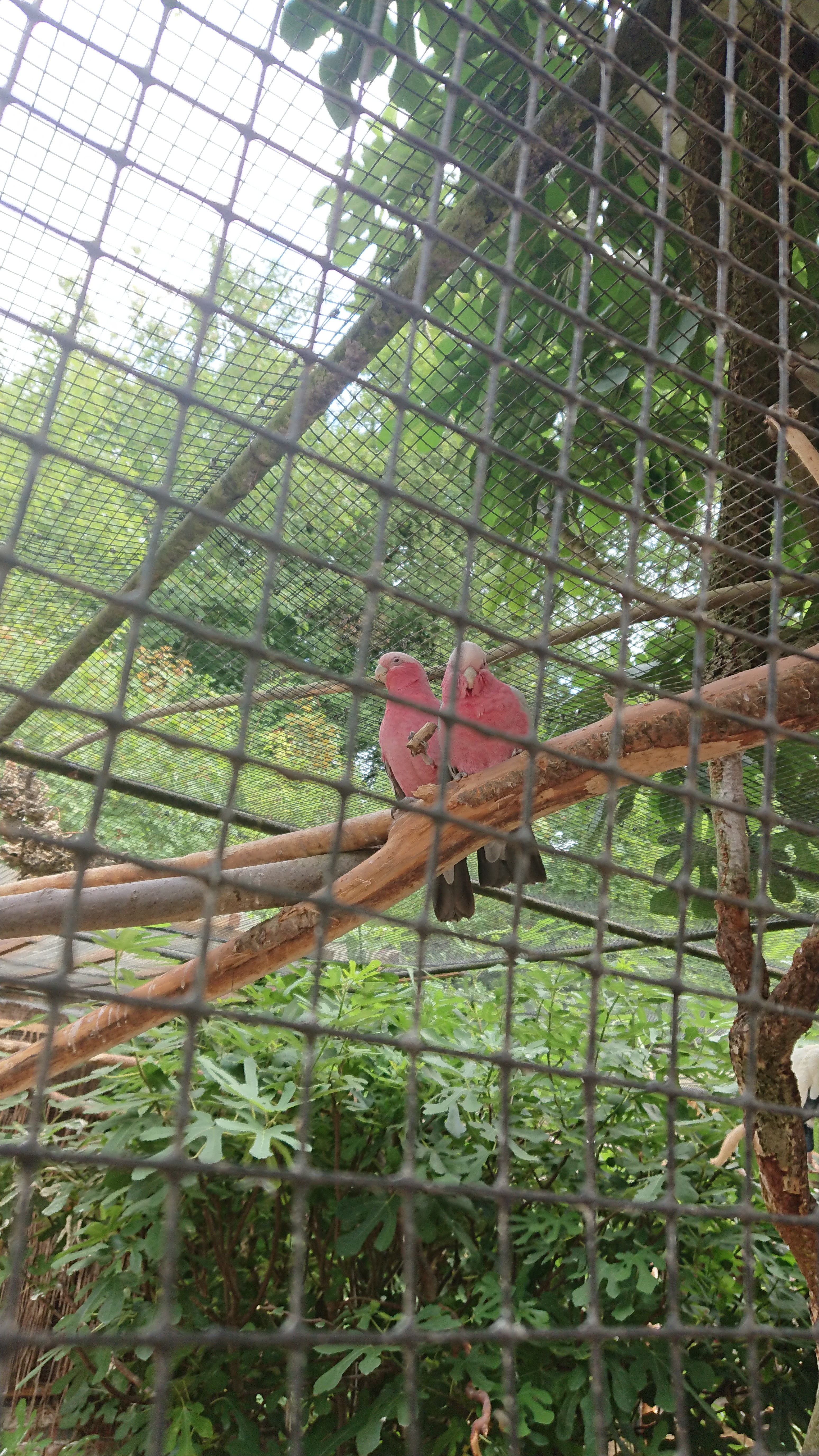 Photo n° 8 de l'avis de Amine.U fait le 09/09/2019 à 14:00