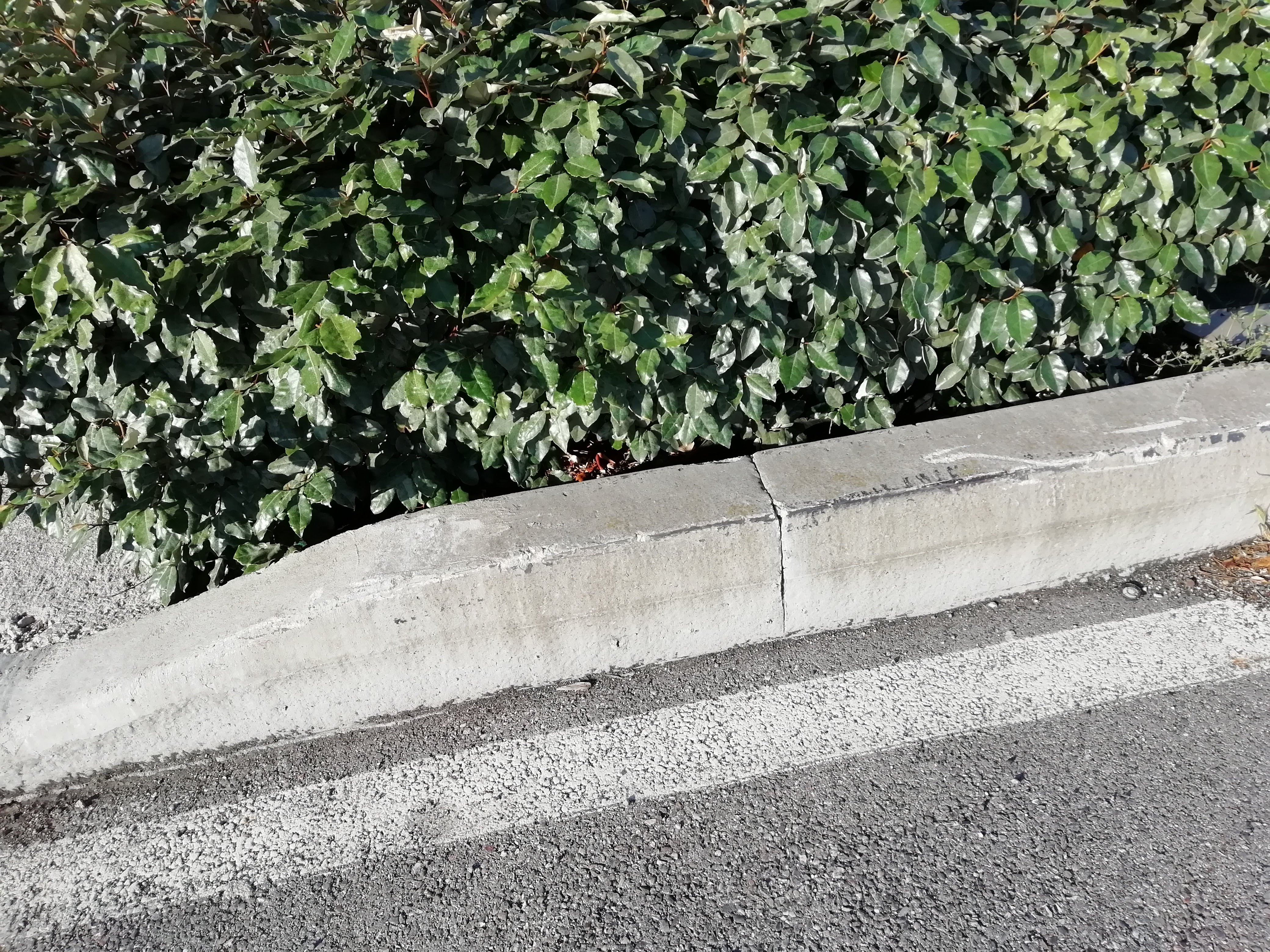Photo n° 28 de l'avis de Serzh. fait le 04/06/2019 à 13:52