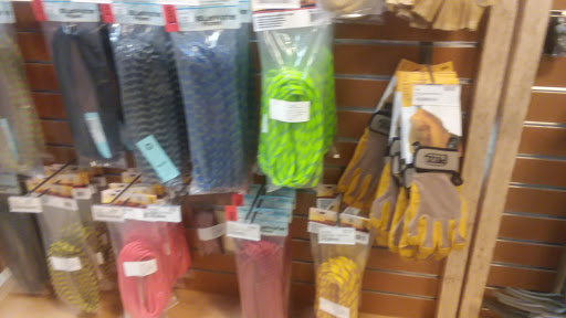 Camping Store «REI», reviews and photos, 230 W 10600 S #1700, Sandy, UT 84070, USA