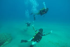 AMASO Dive Center image