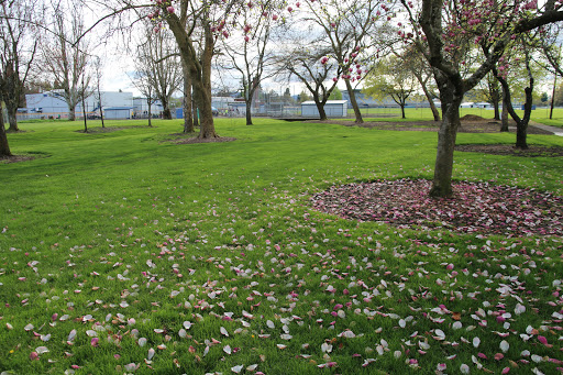 Park «Willamalane Park», reviews and photos, 1276 G St, Springfield, OR 97477, USA