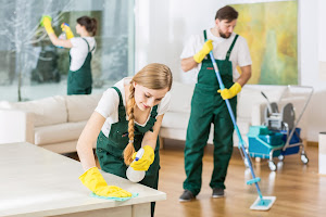 BriteNest cleaning