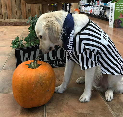 Pet Supply Store «The Natural Pet Enrichment Center», reviews and photos, 6720 Royalton Rd, North Royalton, OH 44133, USA