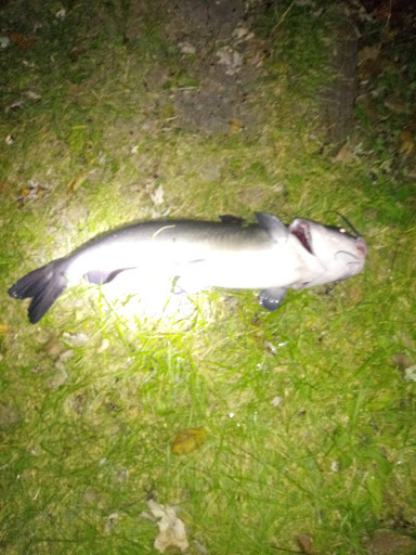 Campground «Hide Away Lakes», reviews and photos, 8045 Van Emmon Rd, Yorkville, IL 60560, USA