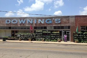 Downing & Sons image