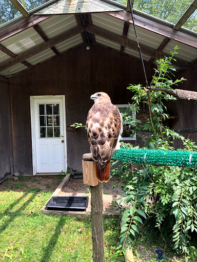 Camp «Howell Nature Center», reviews and photos, 1005 Triangle Lake Rd, Howell, MI 48843, USA