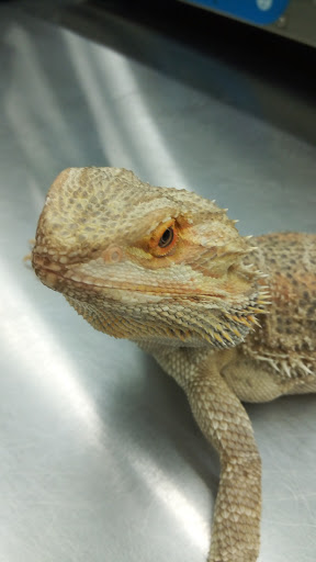 Pet Supply Store «Pet Supplies Plus», reviews and photos, 101 Sutton Ave, Oxford, MA 01540, USA