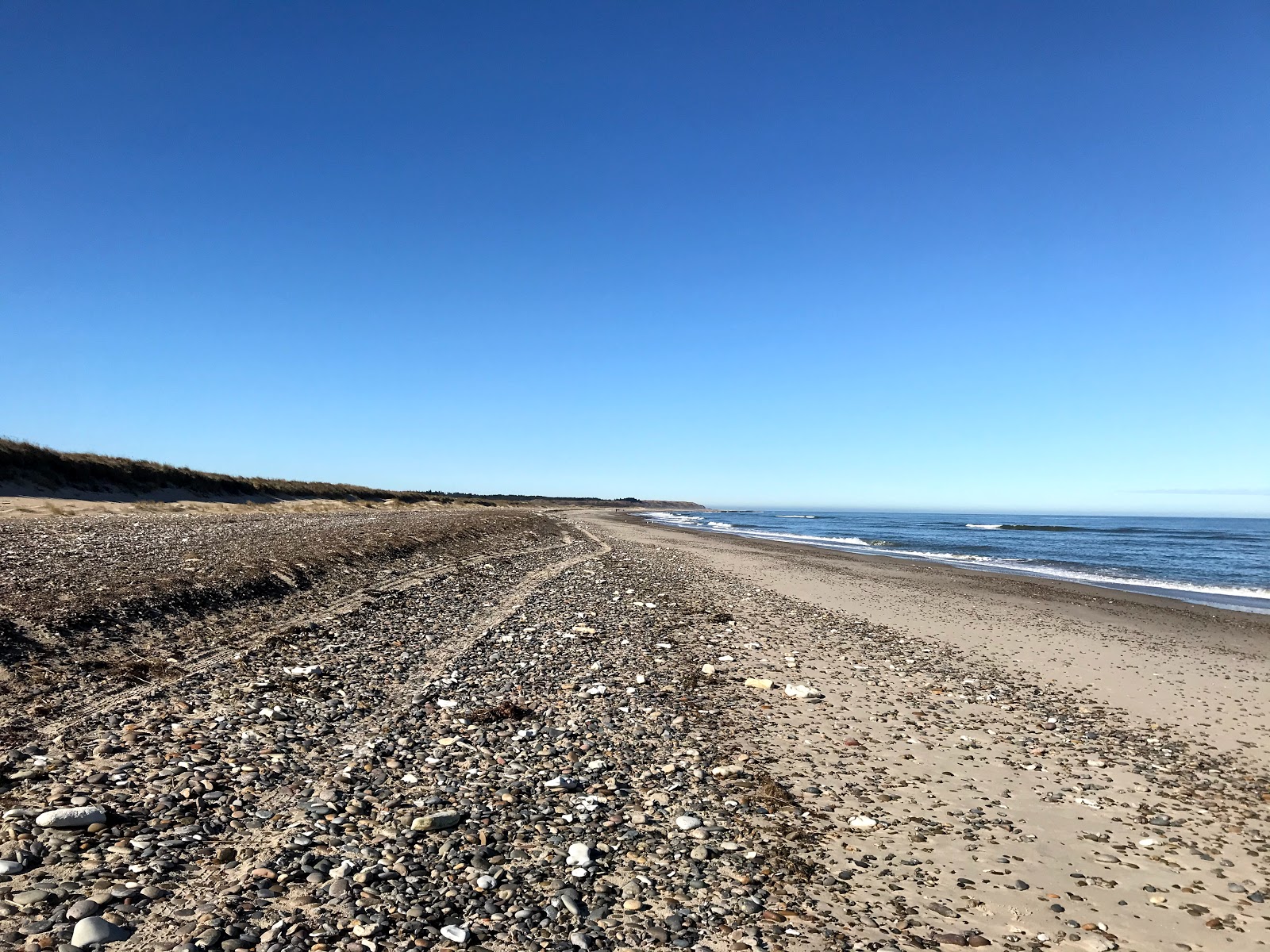 Thorup Beach photo #7