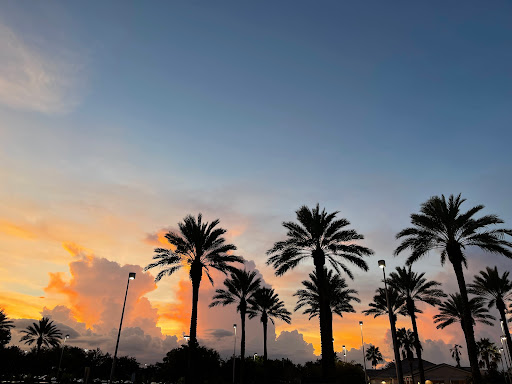 Shopping Mall «The Mall at Millenia», reviews and photos, 4200 Conroy Rd, Orlando, FL 32839, USA