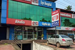 Ahalia Foundation Eye Hospital, Muvattupuzha. image