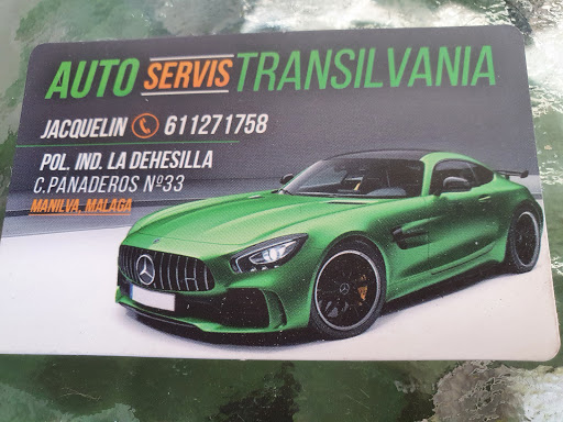 AUTO SERVICES TRANSILVANIA