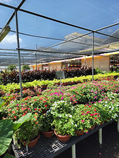 Houston Garden Centers