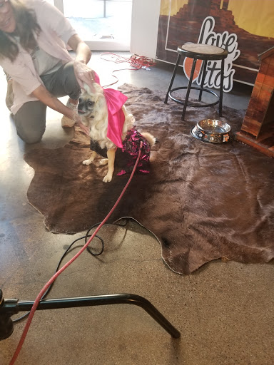 Movie Studio «Monorchid Creative Studios / Event / Wedding Venue», reviews and photos, 214 E Roosevelt St, Phoenix, AZ 85004, USA