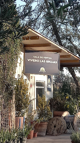 Vivero Las Brujas de Talagante