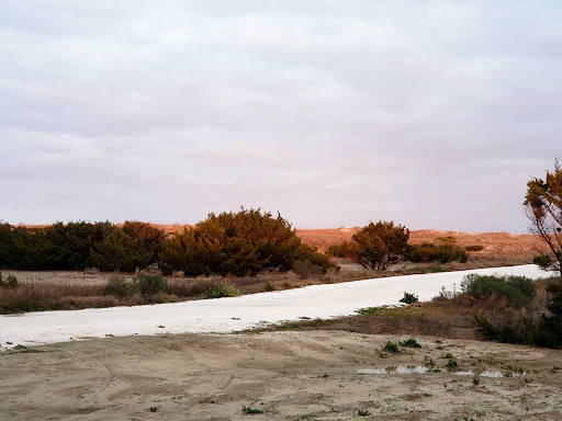 National Park «Cape Hatteras National Seashore», reviews and photos, Cape Hatteras National Park Rd, Nags Head, NC 27959, USA