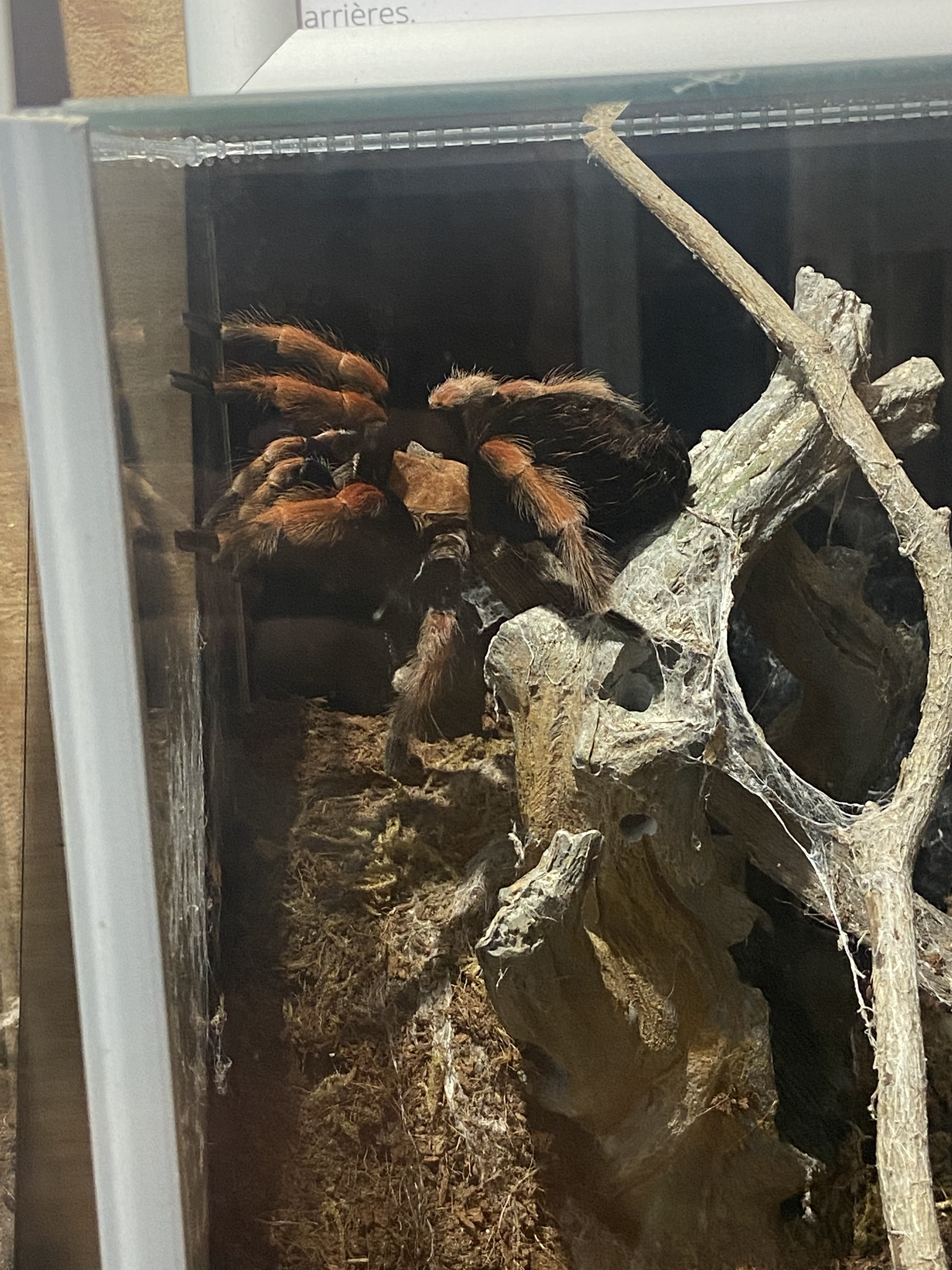 Photo n° 2 de l'avis de camille.u fait le 16/05/2023 à 10:28