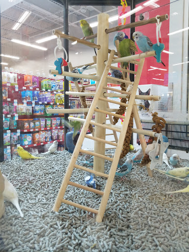 Pet Supply Store «Petco Animal Supplies», reviews and photos, 92 Cluff Crossing Rd, Salem, NH 03079, USA