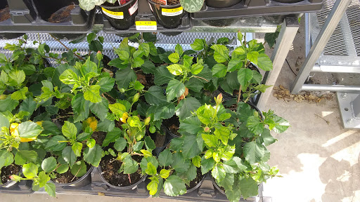 Hardware Store «Jeds Hardware», reviews and photos, 5415 Aldine Mail Rte Rd, Houston, TX 77039, USA