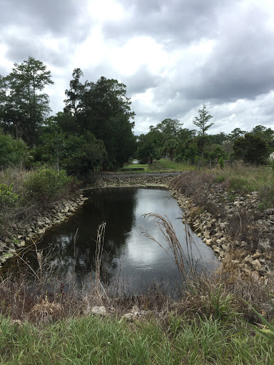 Nature Preserve «Cypress Creek Natural Area», reviews and photos, 10035 W Indiantown Rd, Jupiter, FL 33478, USA