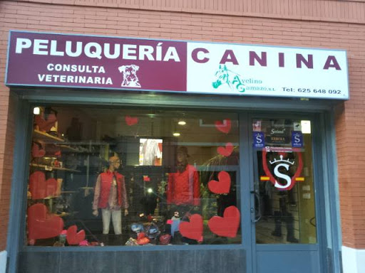 Peluquería Canina , Clínica Veterinaria y Venta de Trajes Flamencos en Tordesillas