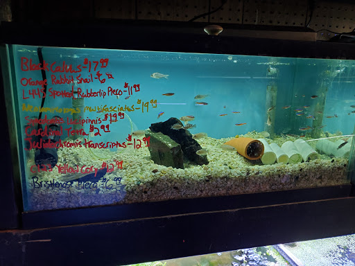 Pet Store «Pet Connection», reviews and photos, 29551 Five Mile Road, Livonia, MI 48154, USA